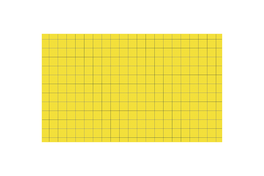 Adhesivo Matainsectos 390x300mm, 6uds